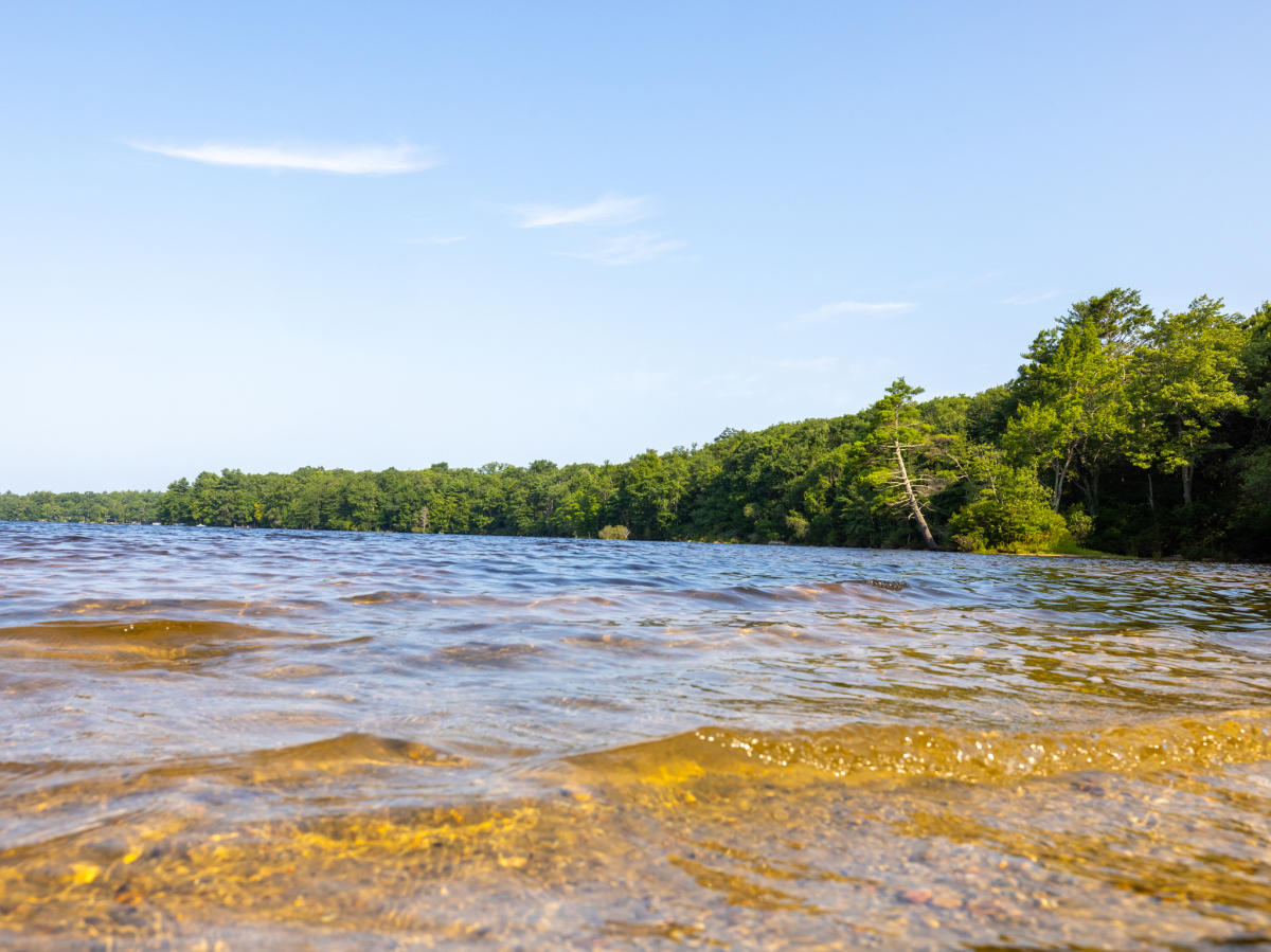 George Washington State Management Area and Campground | Chepachet 