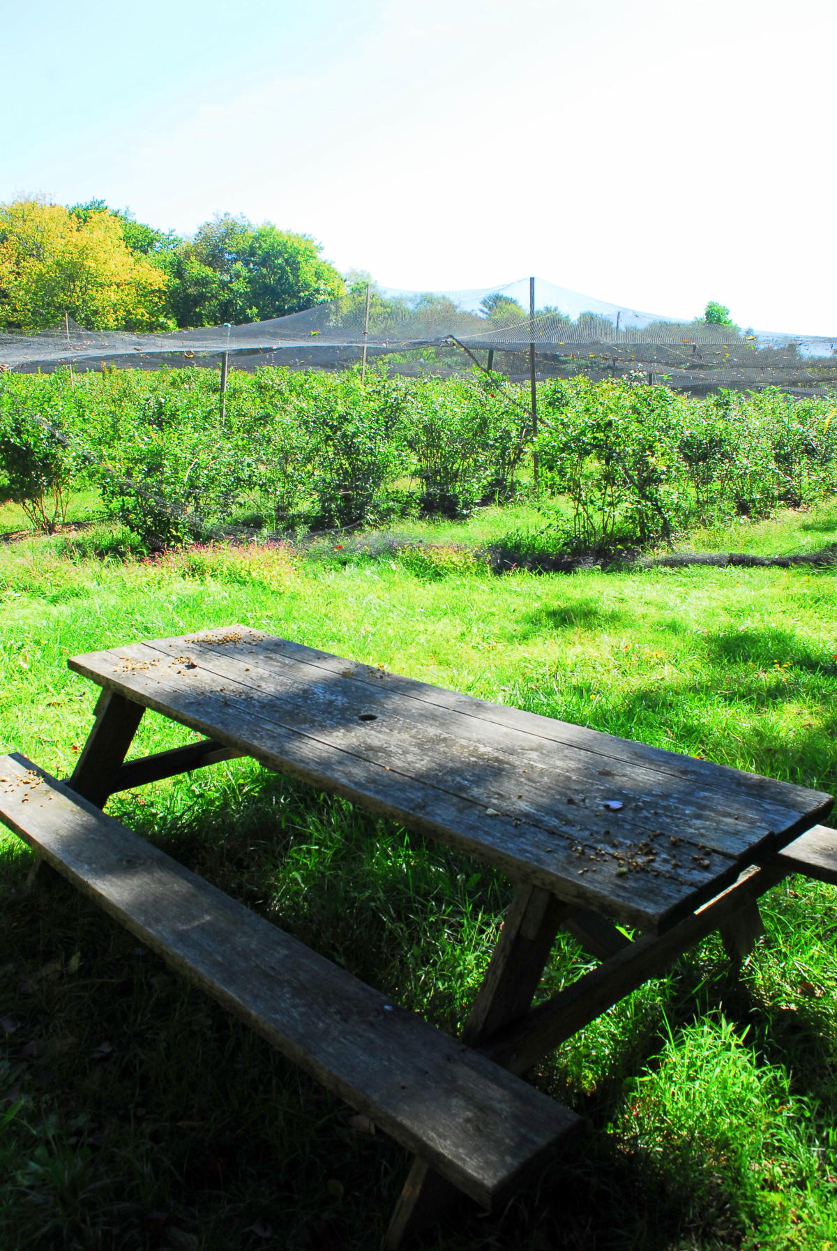 Harmony Farms North Scituate, RI 02857