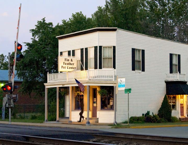 Fin and feather shop pet center