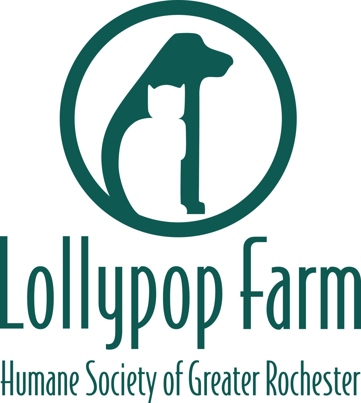 Rochester humane society 2025