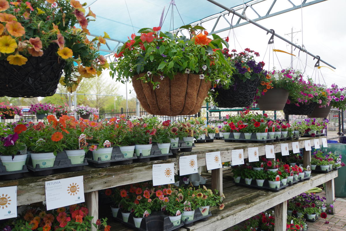 Sargent's on 2nd Rochester, MN 55902