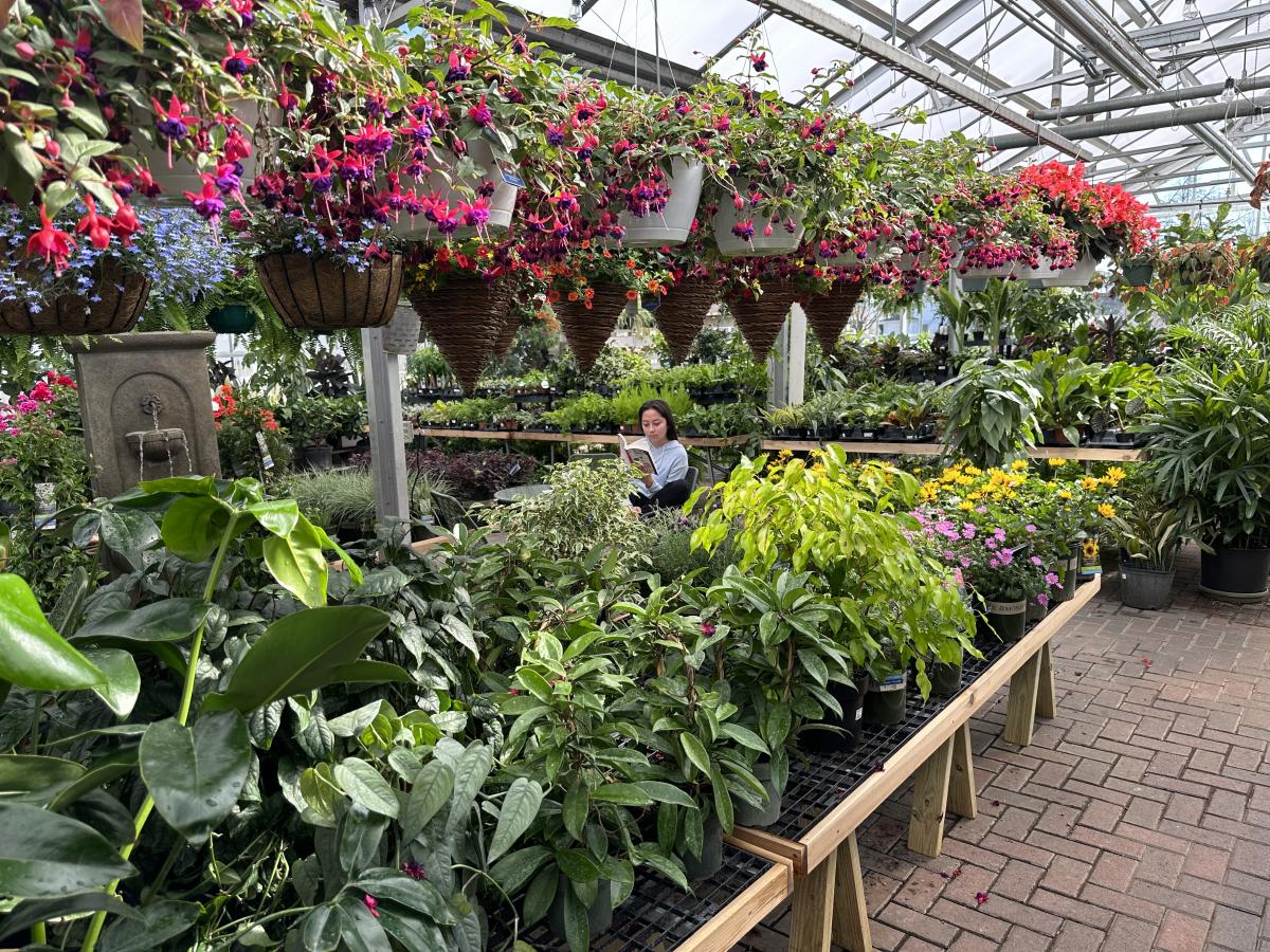 Sargent's on 2nd Rochester, MN 55902