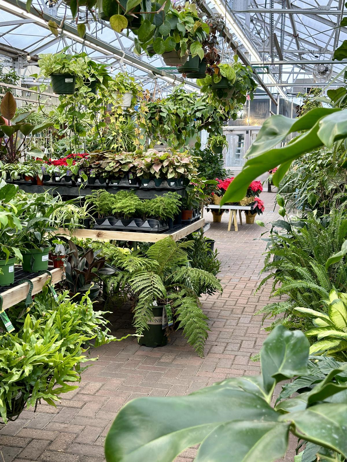 Sargent's on 2nd Rochester, MN 55902