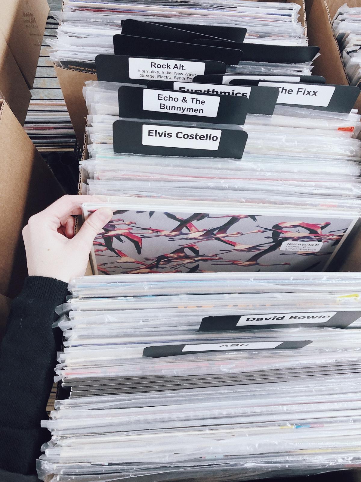 Rochester Records Rochester, MN 55904