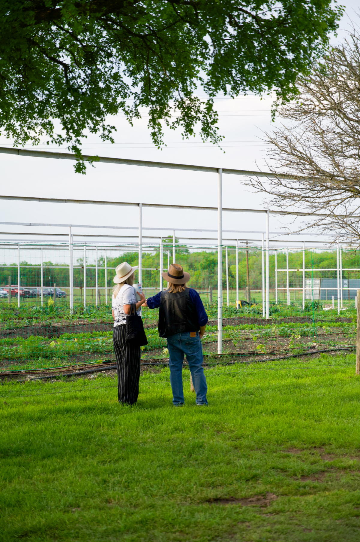 Victorian Champagne Diamond Starburst Ring, image size:1200x1804