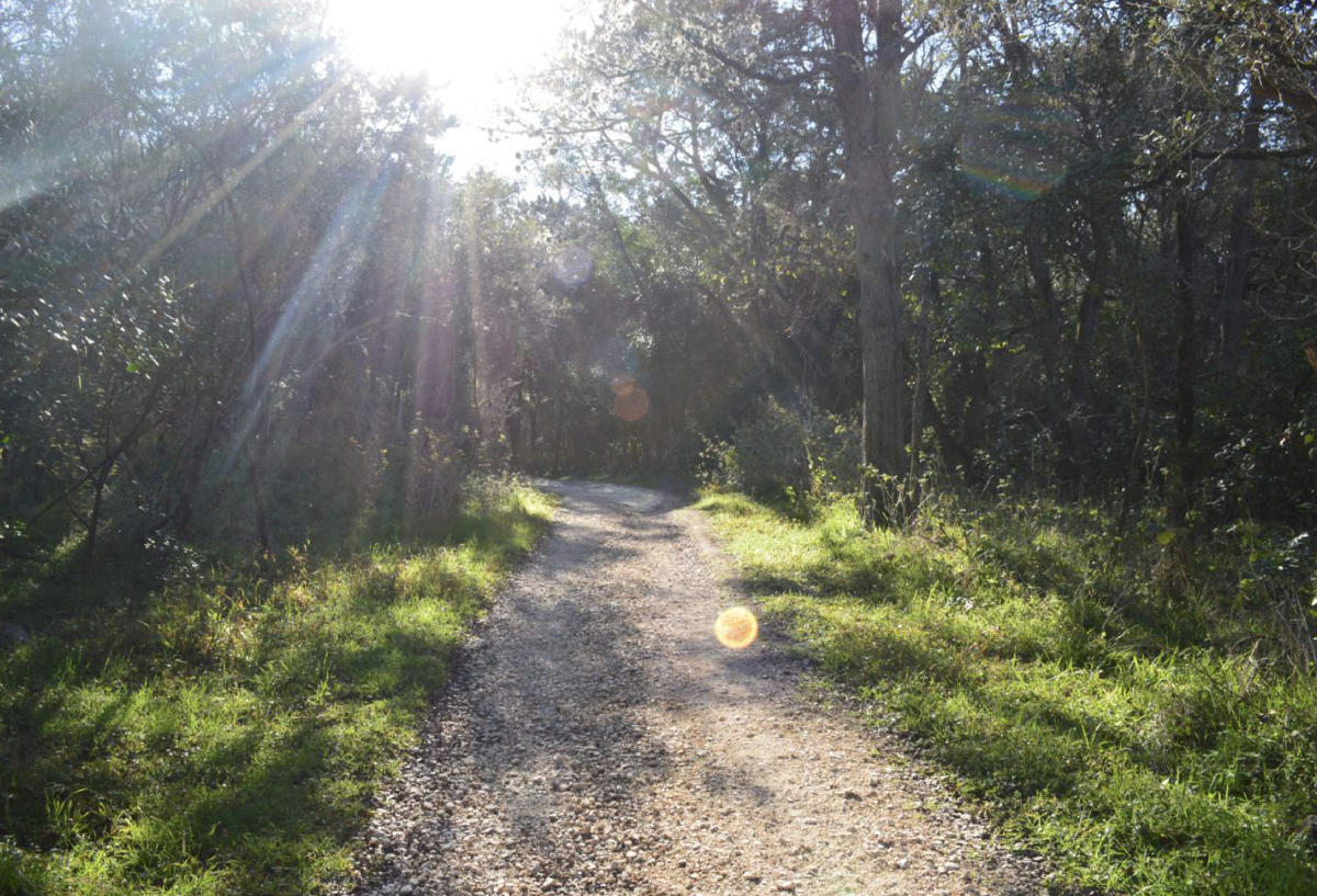 Spring Lake Natural Area | San Marcos, TX