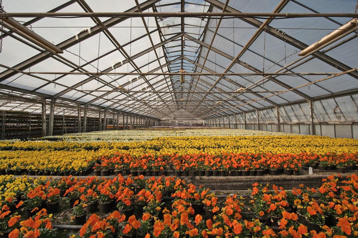Half Moon Bay Nursery