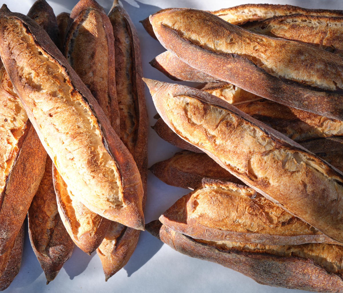 Bread Shop