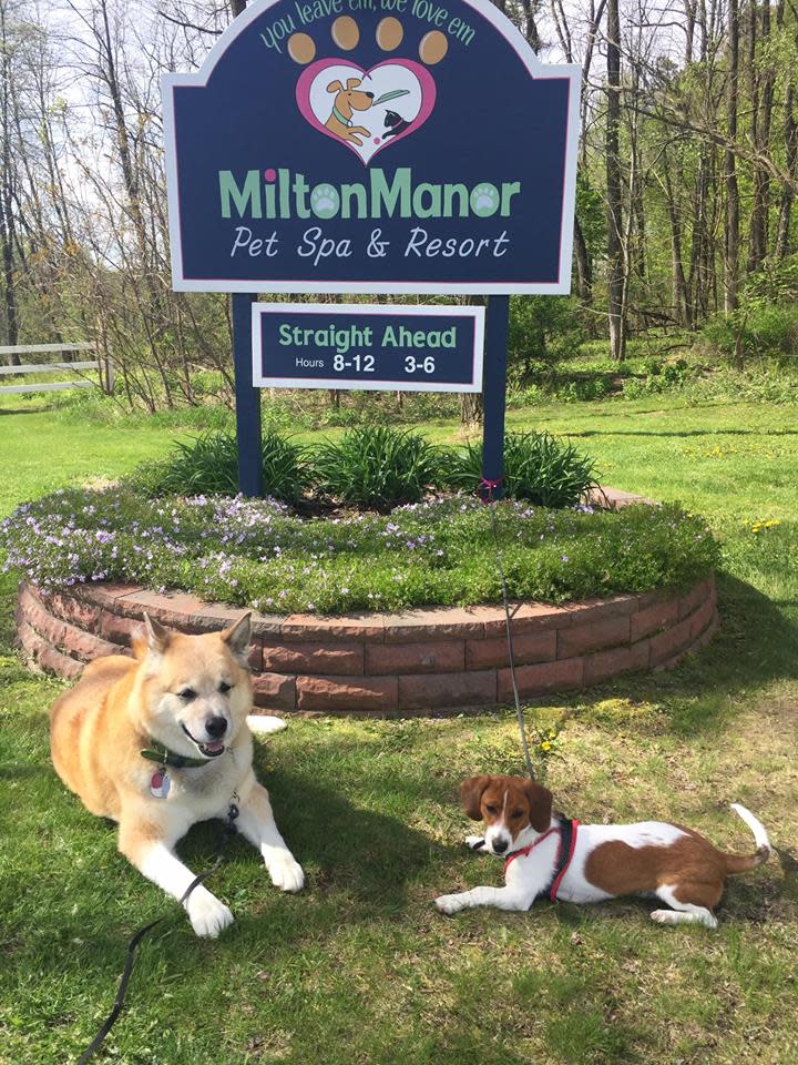 Milton Manor Pet Resort & Spa