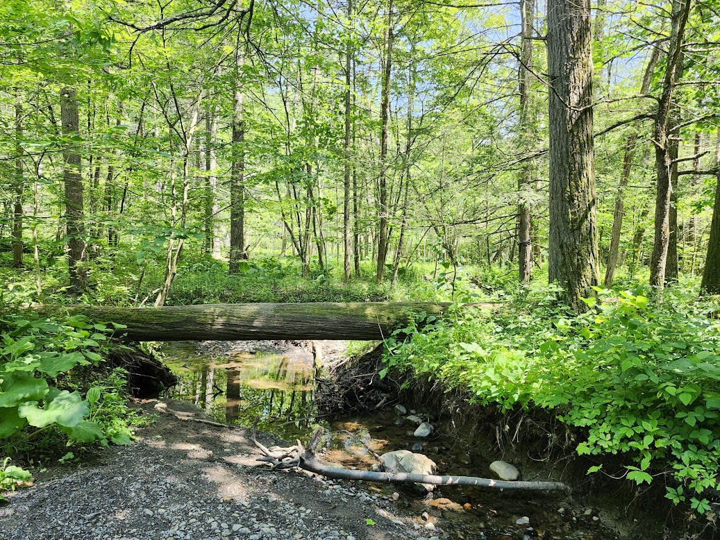 Lisha Kill Preserve