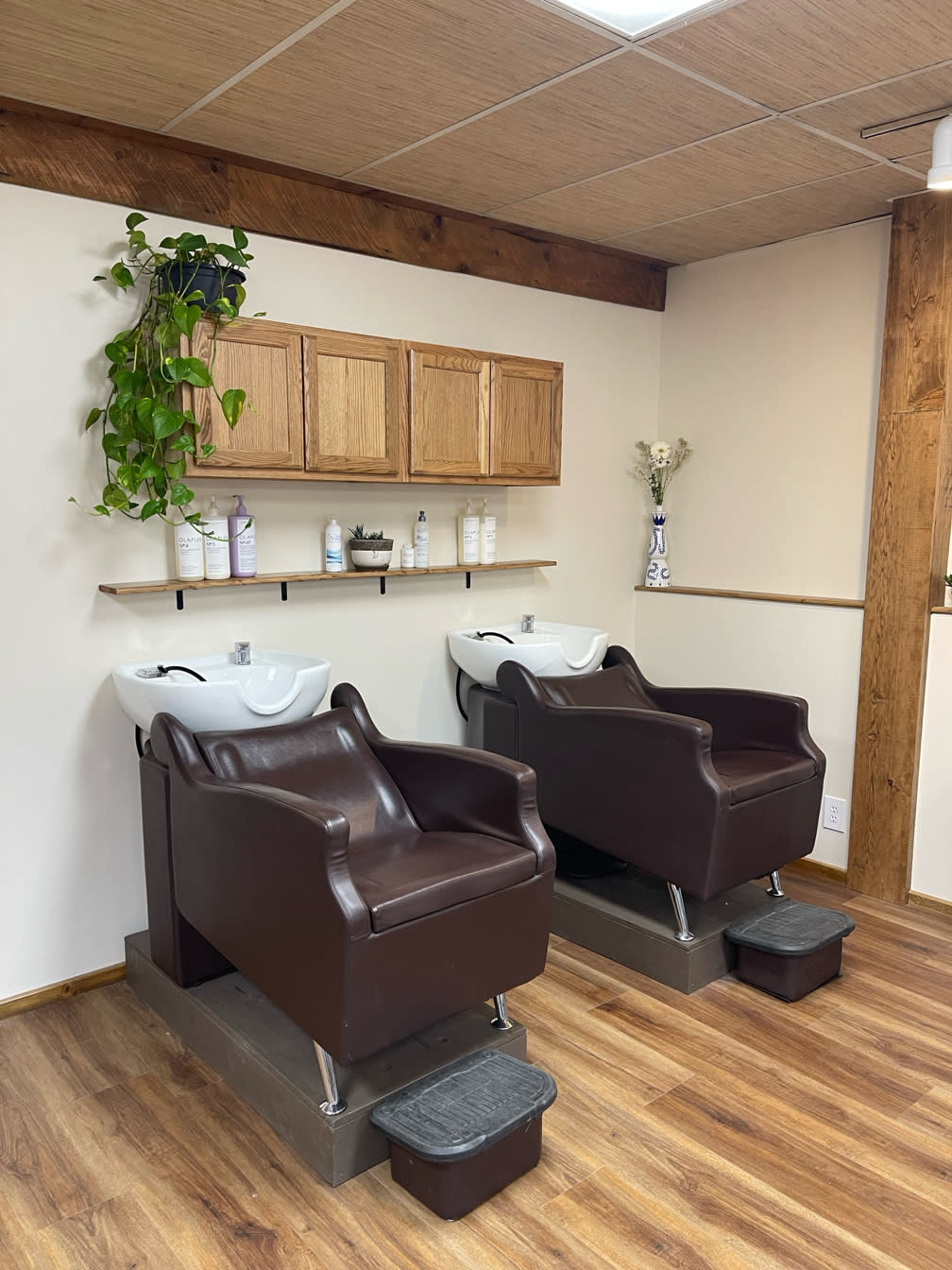 Frozen Cactus Hair Salon