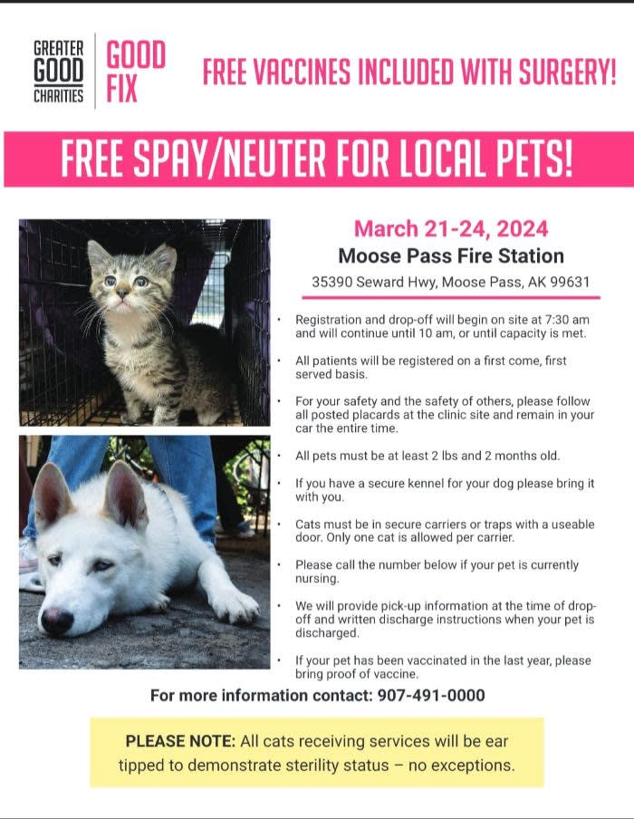 Free spay shop clinic for cats