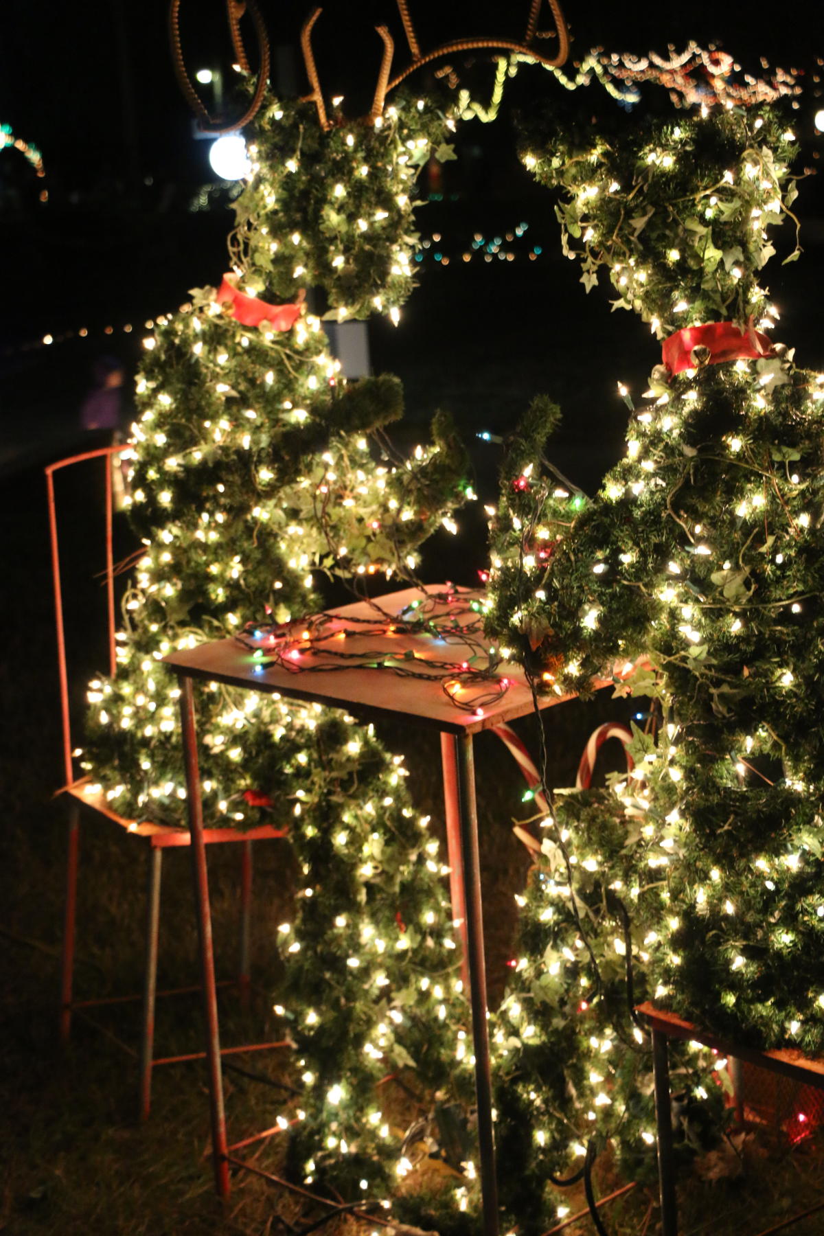 Rose Garden Shreveport Christmas Lights Fasci Garden