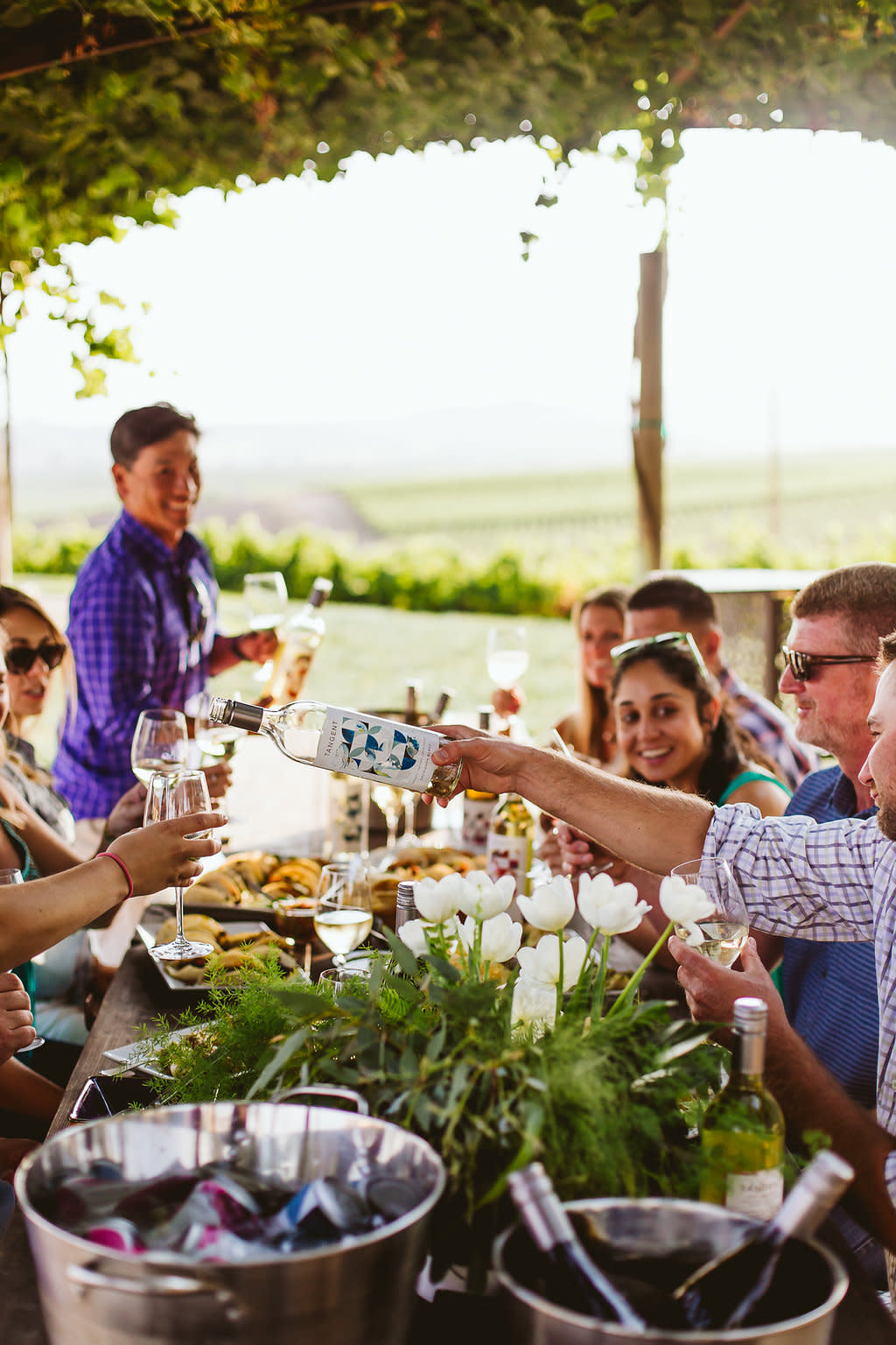 Baileyana Tasting Room | Visit SLO CAL