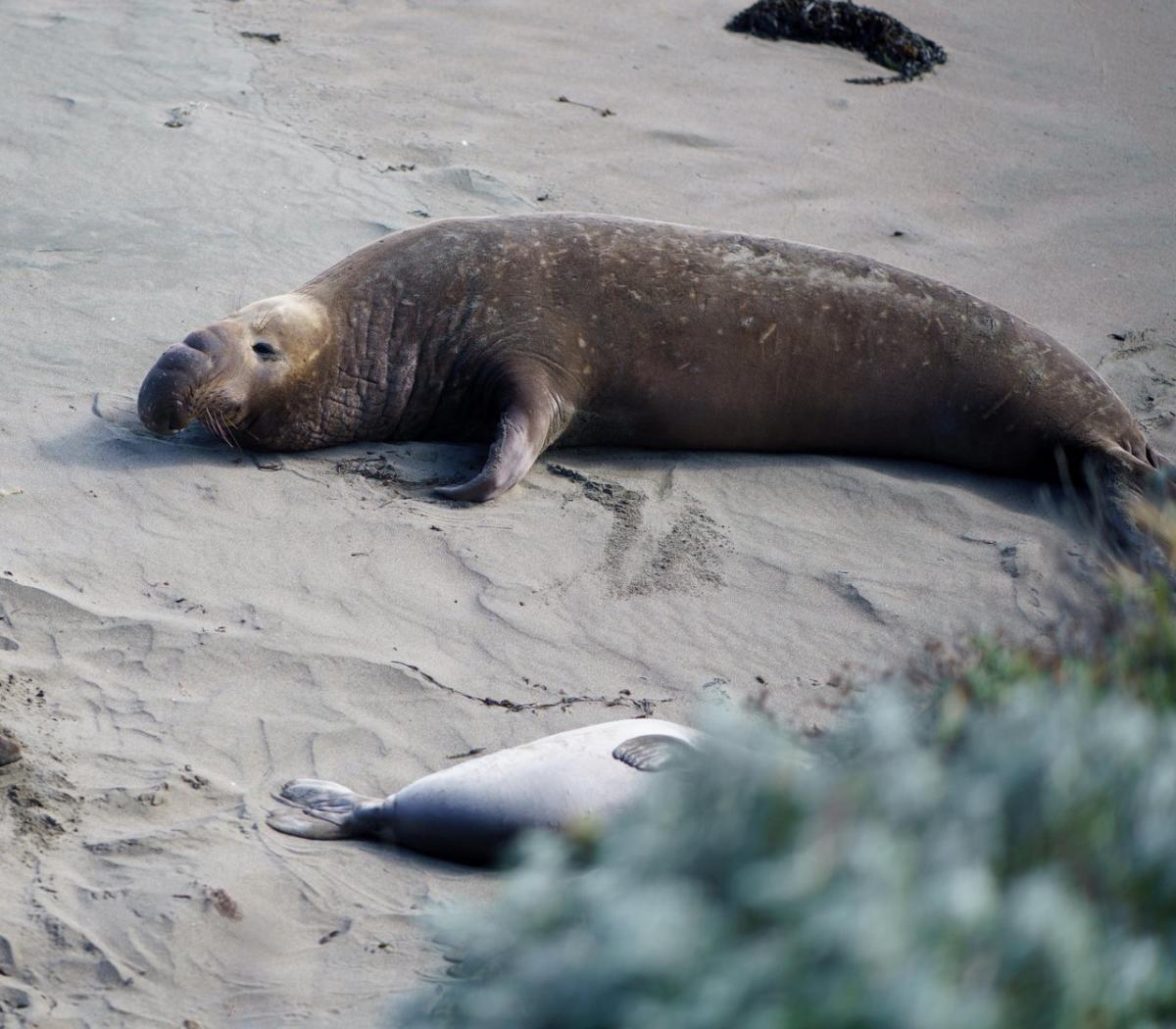 San Luis Obispo