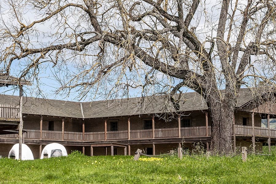 Old Adobe Road