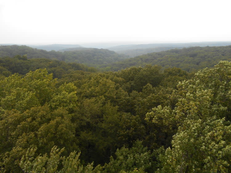 Hoosier national forest hiking sale