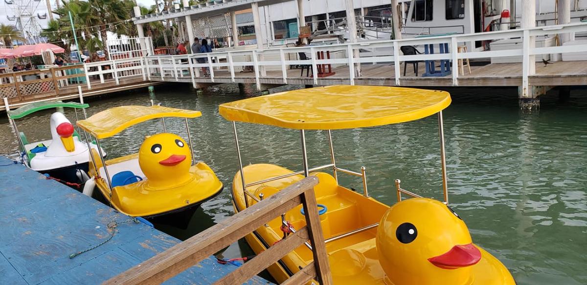 Rubber duck paddle boat store