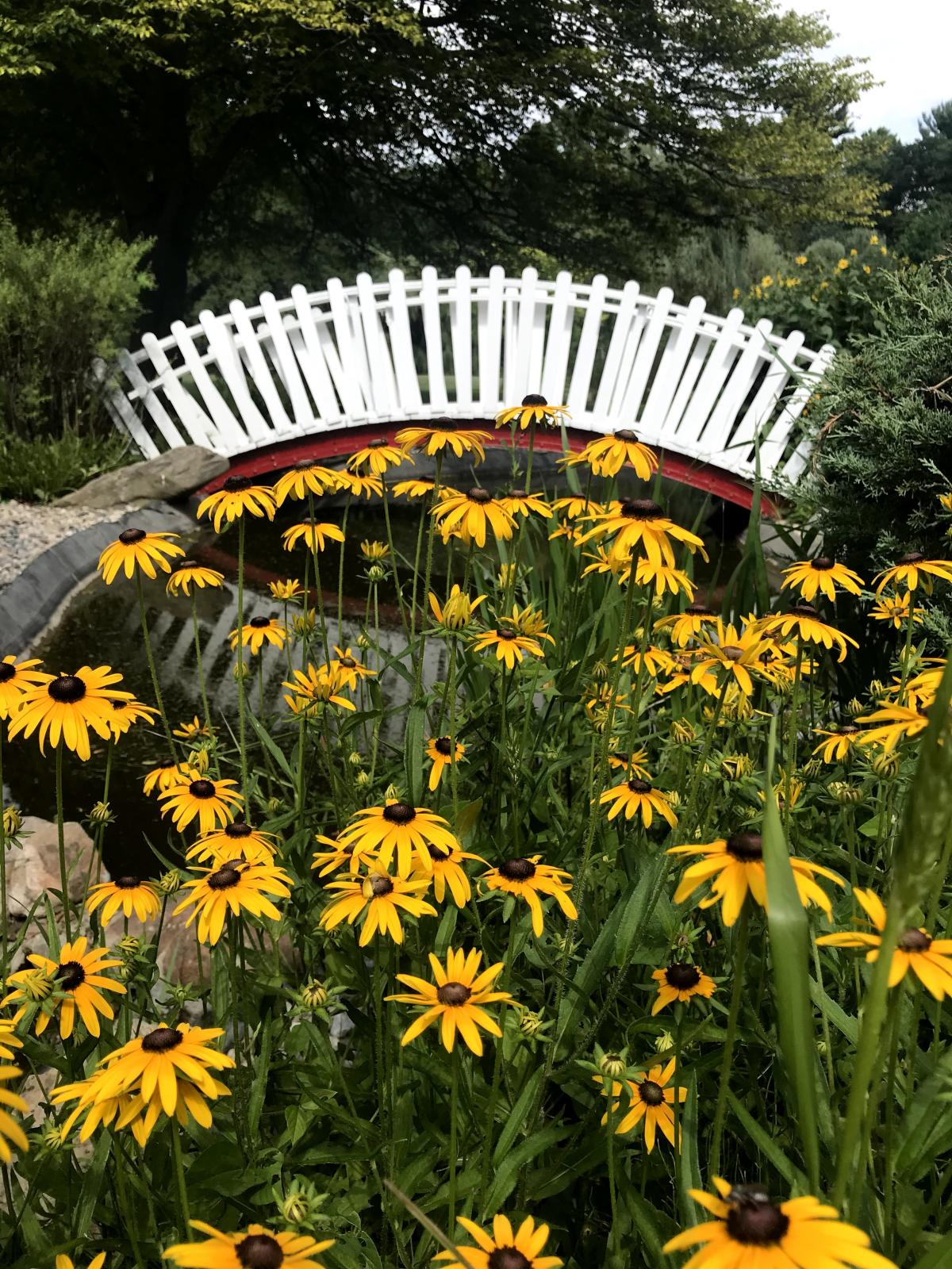 Friendship Botanic Garden