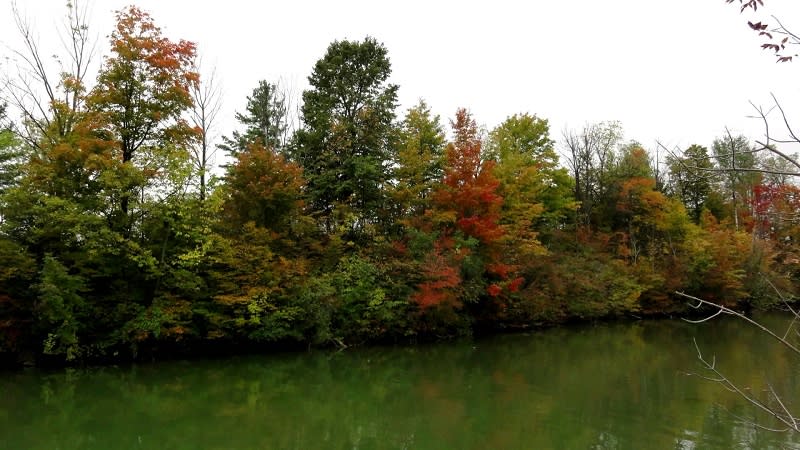 Middlesex Conservation Area