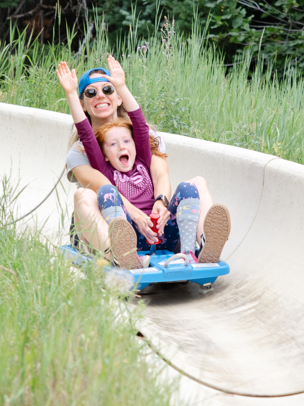 The Howler Steamboat Springs Alpine Slide | Alpine Slide | Steamboat  Springs, CO, image size:900x1200