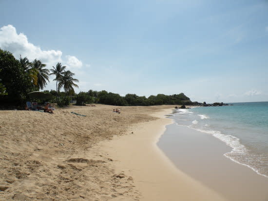 Experience Paradise: A Complete Guide to Happy Bay Beach, Saint Martin