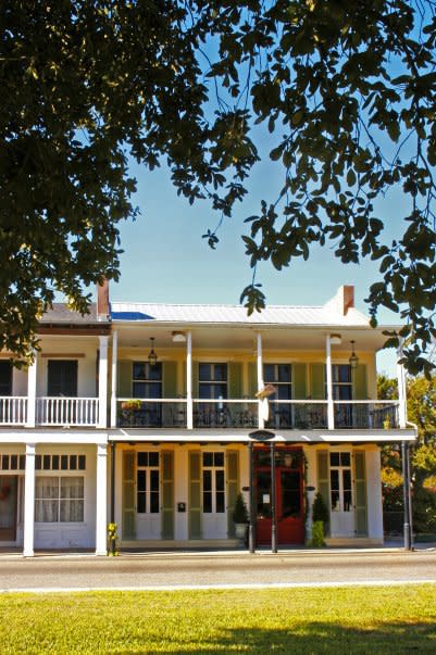 その他 St.Vincent Latinaires St Vincent (2) 8x10 loose print – Dog Daze Photo