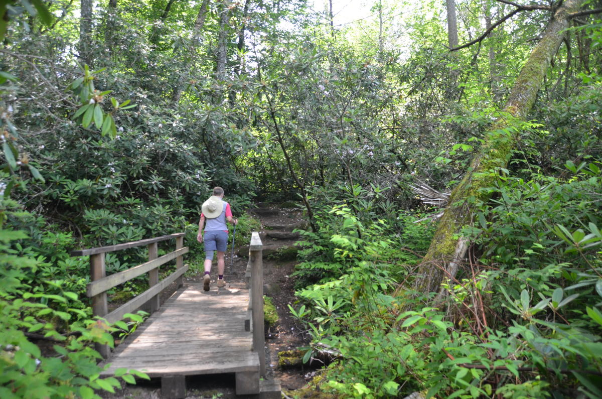 Camping near joyce kilmer memorial forest 2025