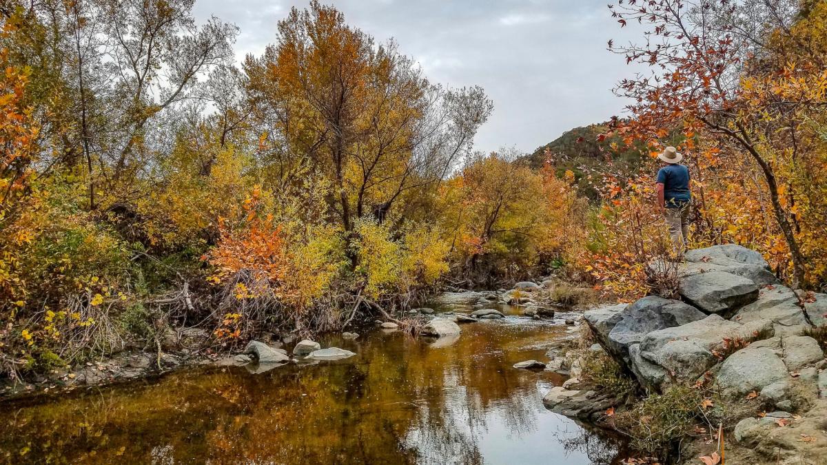 Santa Margarita Trail Preserve Fallbrook, CA