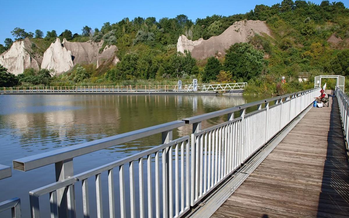 Bluffers Park Location