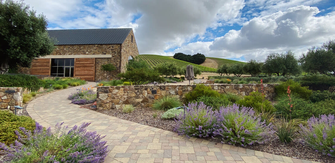 Niner winery shop