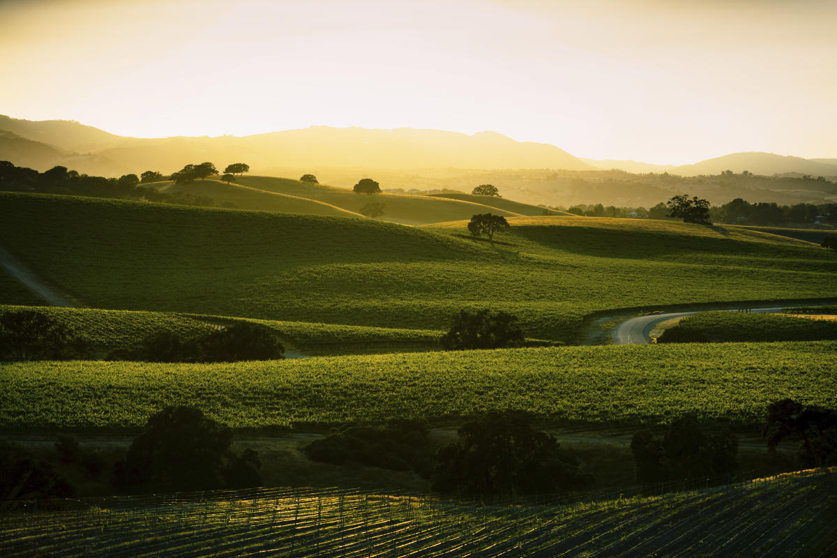 Vina robles winery top