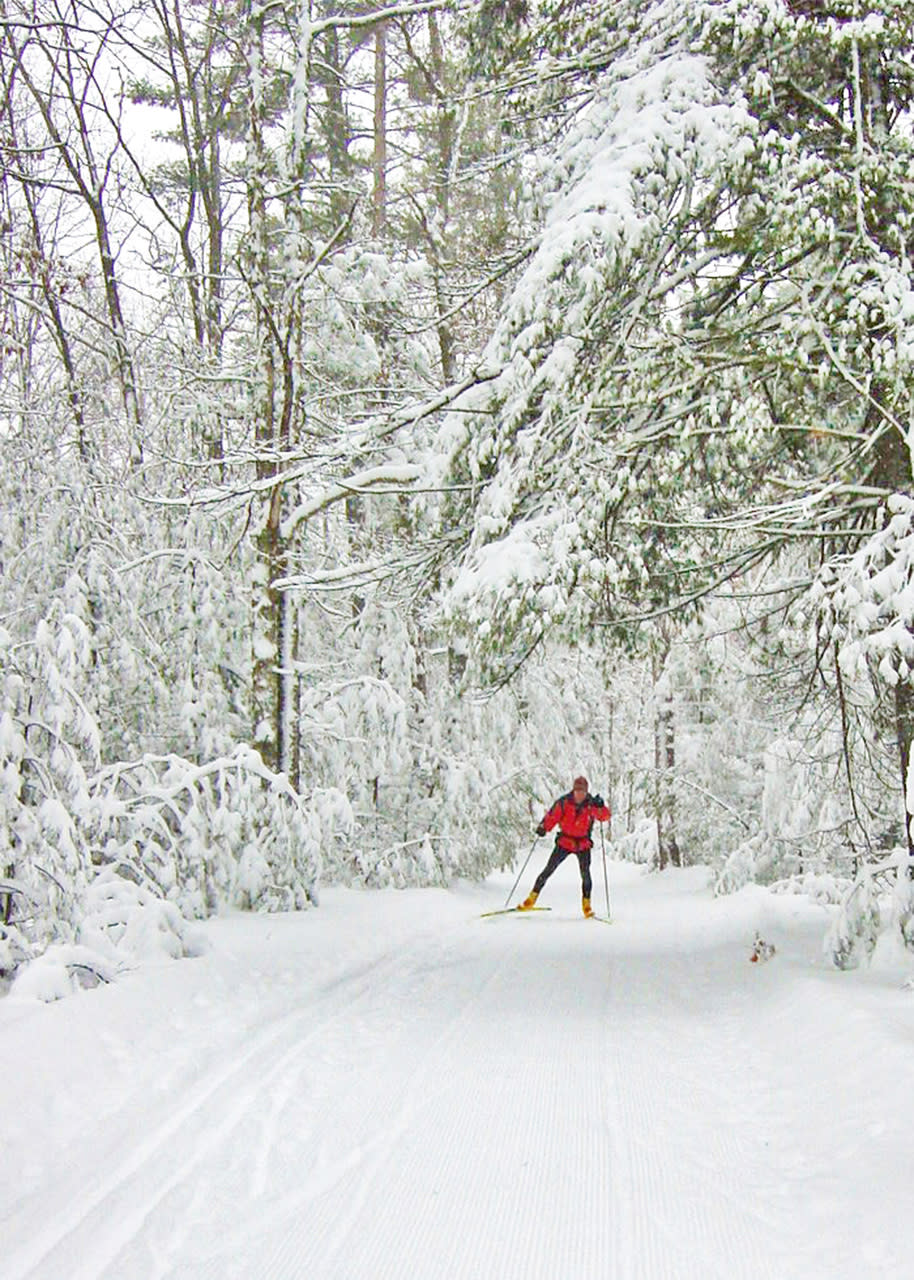 timber ridge rv & recreation resort traverse city