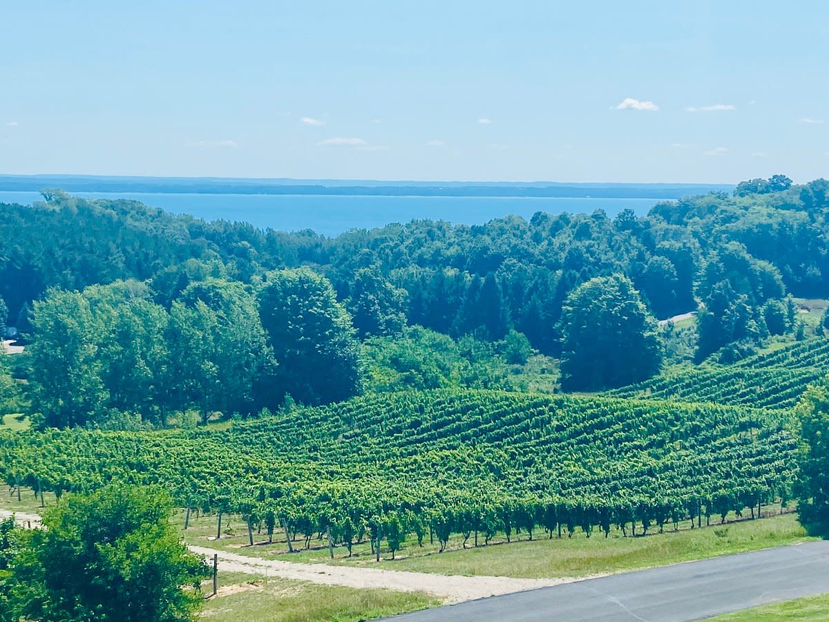 5Hour Traverse City Wine Tour 4 Wineries on Leelanau Peninsula