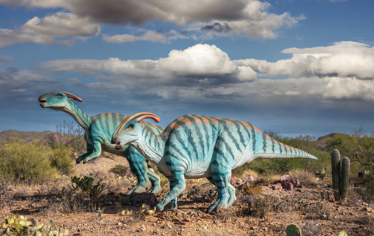 Saguaro National Park Elopement Guide for Adventurous Couples | Rocky  Mountain Bride, image size:1200x757