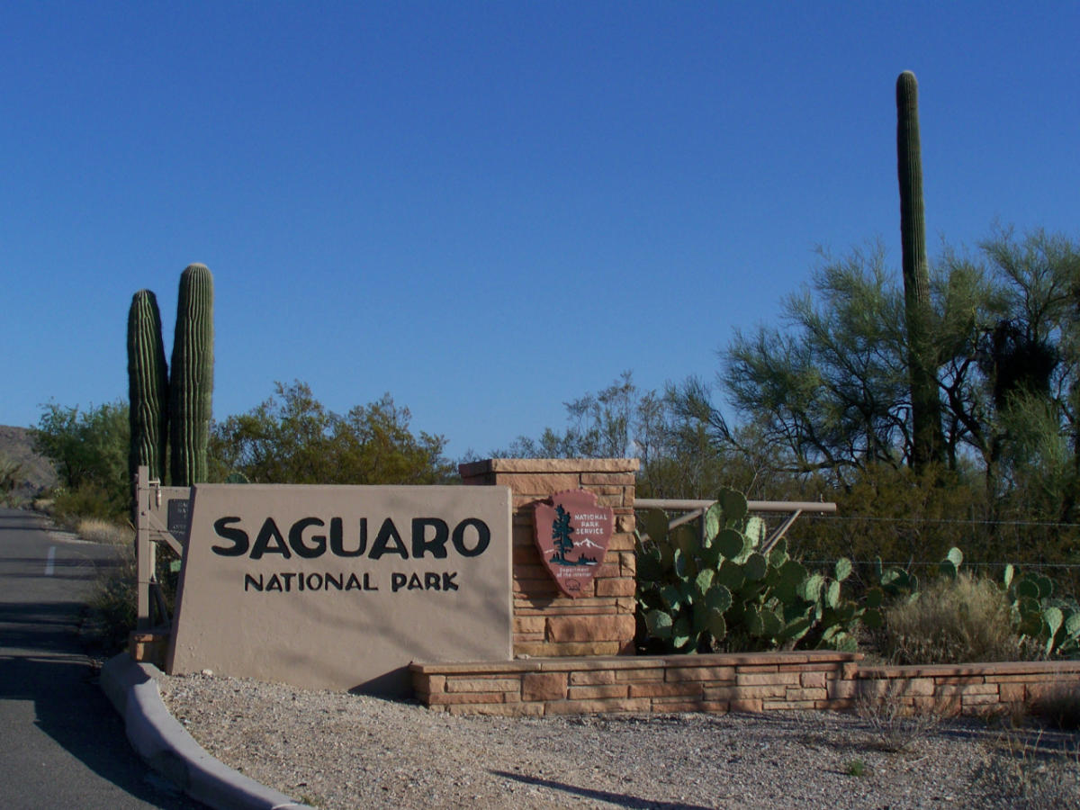 Saguaro National Park Weather