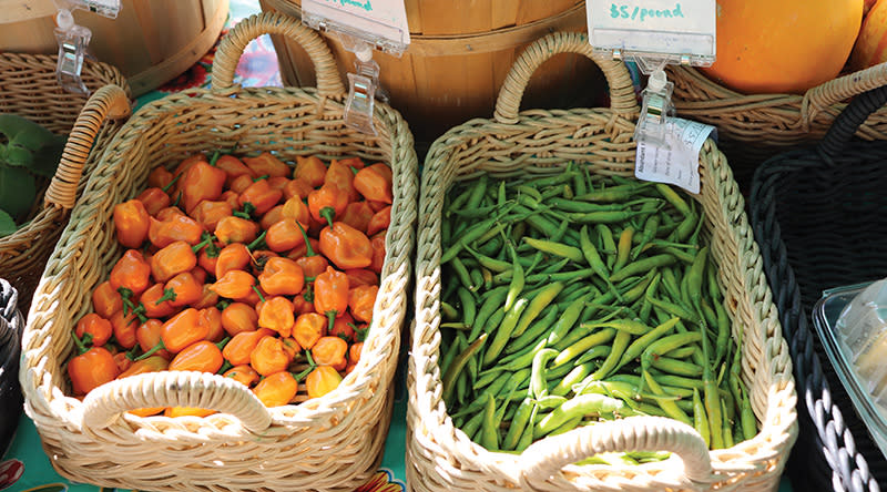 Santa Cruz River Farmers Market Tucson AZ 85745