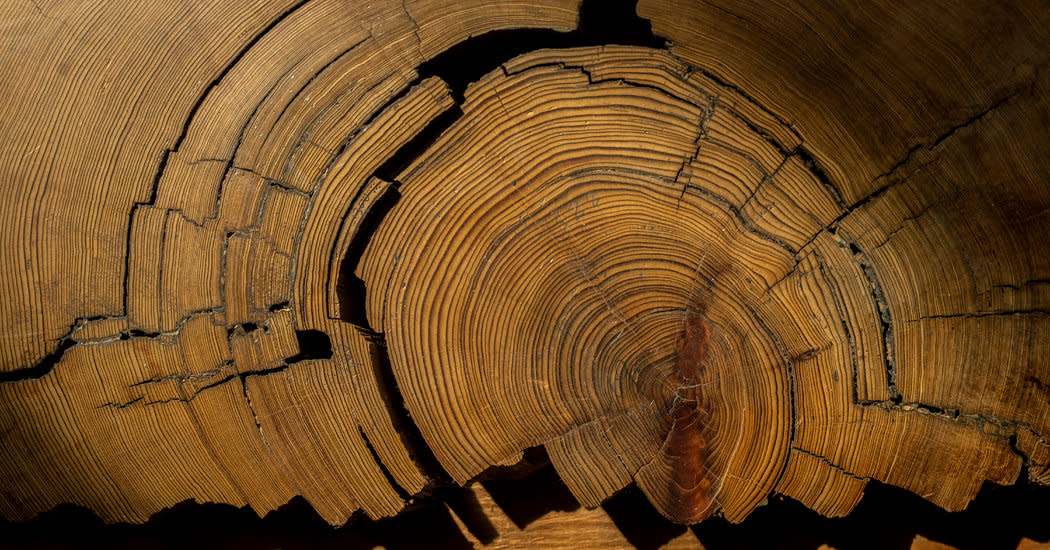 Laboratory of Tree Ring Research Tucson AZ 85721