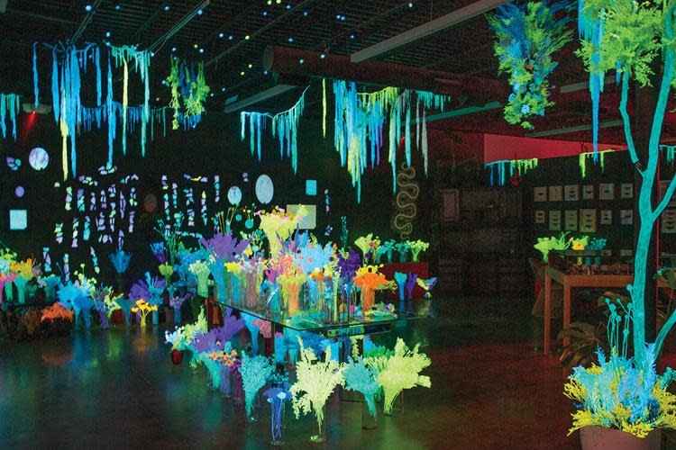 Moon Beam Conservatory | Tulsa, OK 74110
