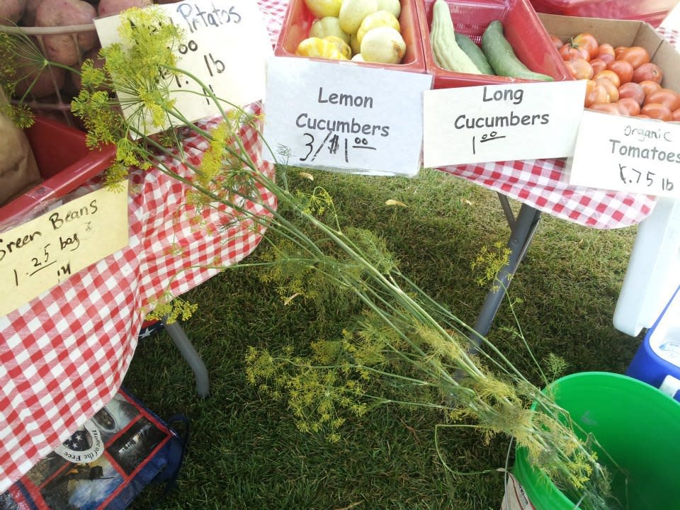 Spanish Fork Farmers' Market