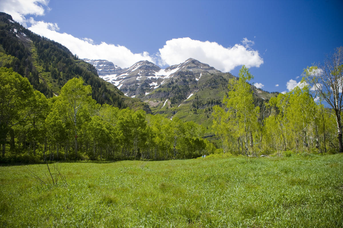 X2 Mount Timpanogos Wasatch Mountains Utah Lake Liberty Park Salt Lake popular City UT