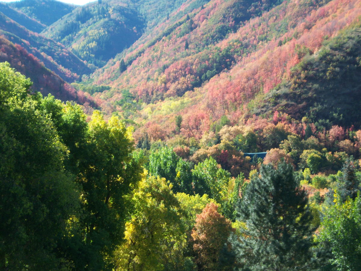 Hobble Creek Canyon Drive