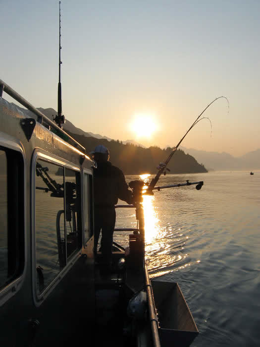 Halibut Grove Charters & Tours