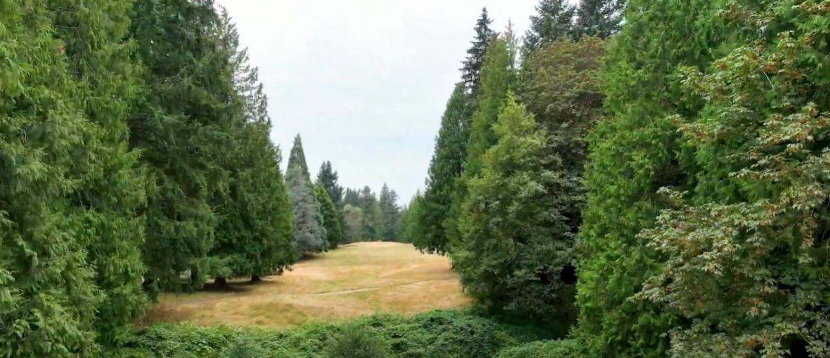 Gordy Jolma Family Natural Area
