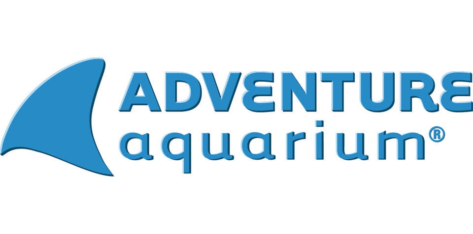 Baby Sharks Now on Display at Adventure Aquarium