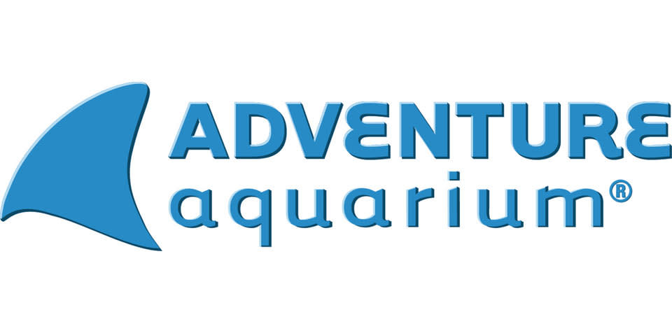 Shark Summer is back at the Camden Adventure Aquarium in 2023