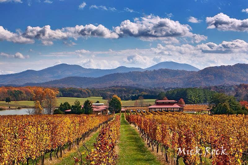 Mt winery on sale