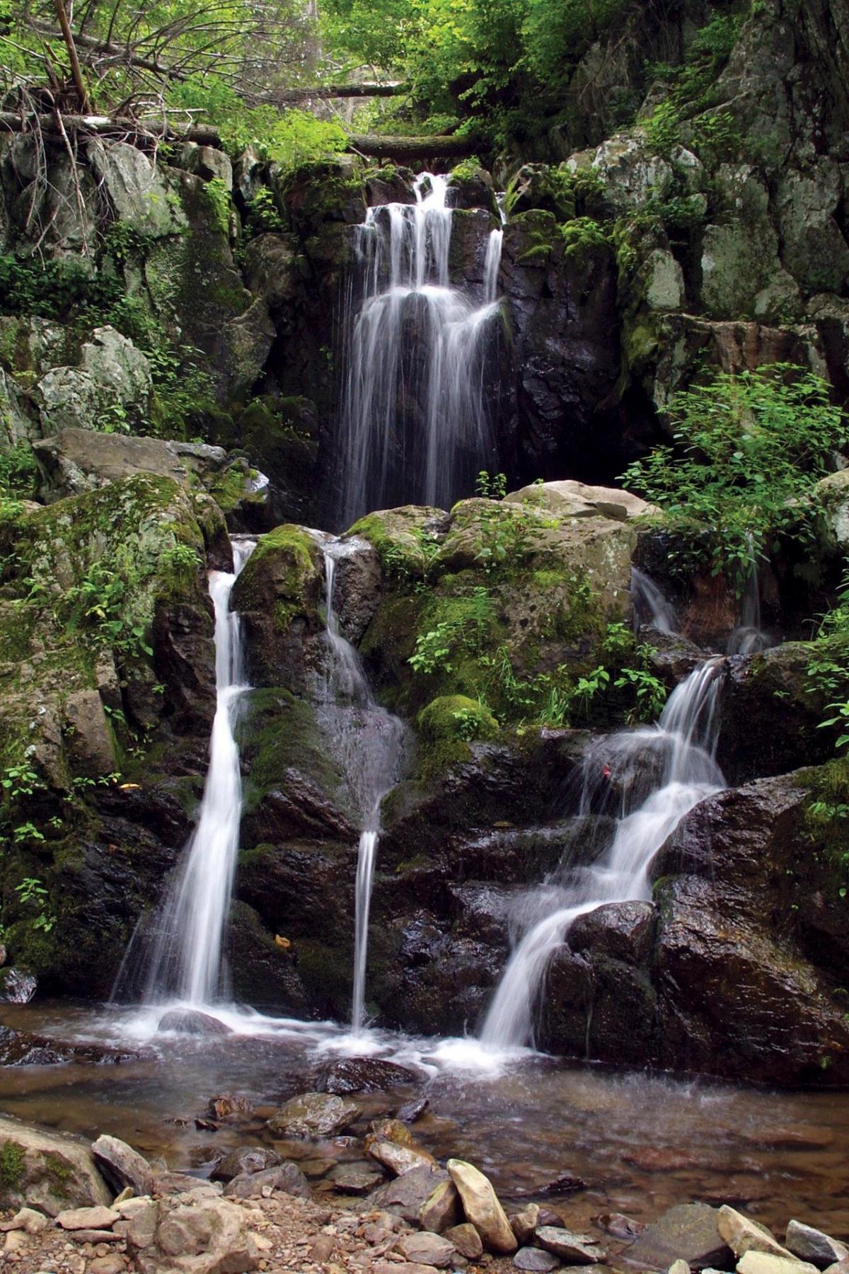 Doyles Falls