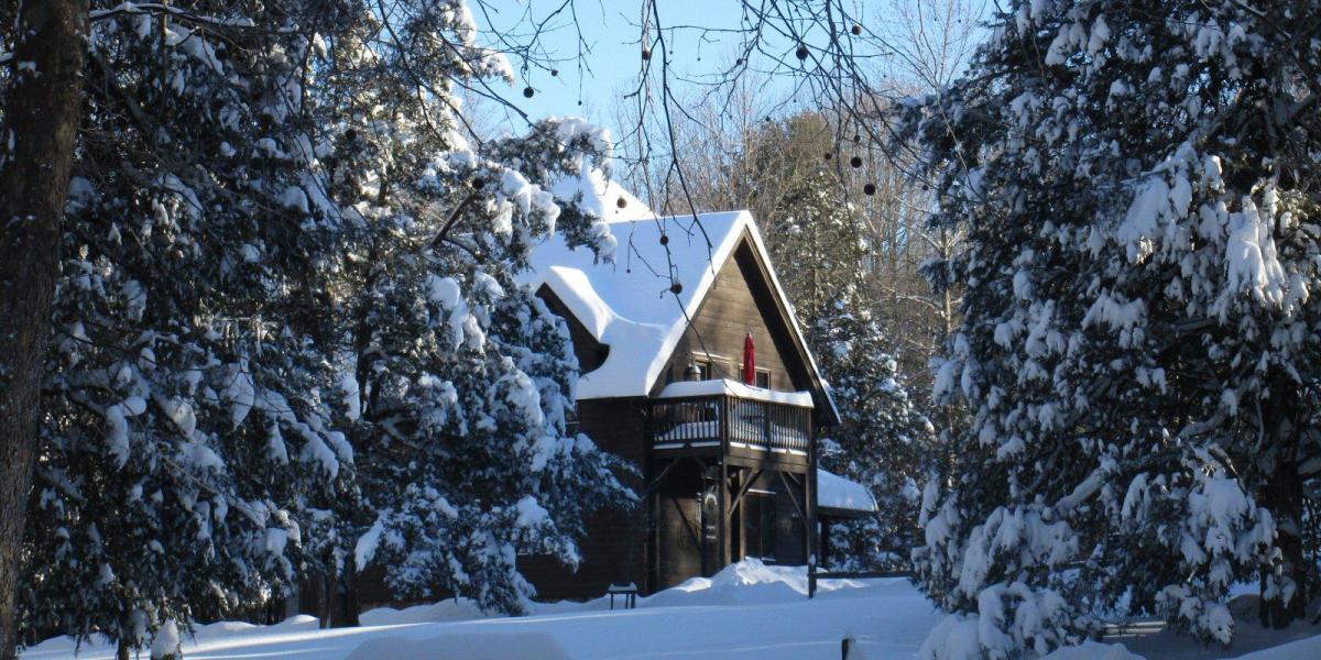 Escape to our Tiny Cabins 🌲🧺💫 Features: - Mountain Views - Perfect for a  couple's retreat - Mini refrigerator & microwave - Coffee…