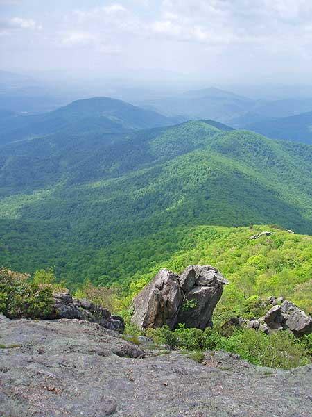 Mount Pleasant National Scenic Area - Henry Lanum Trail